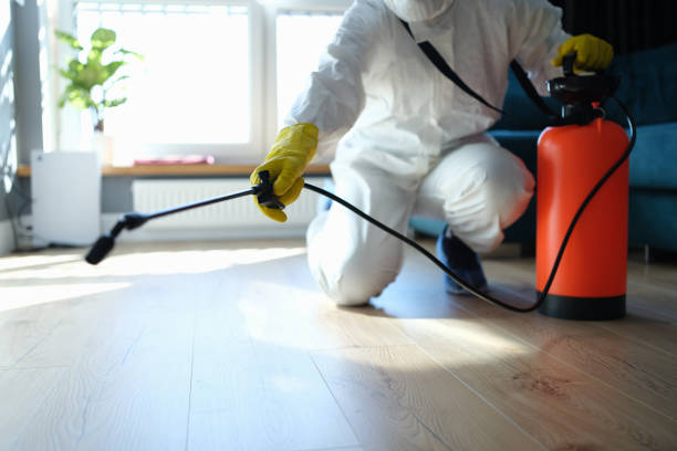 Reliable Odor Removal contractor in Saint Peters, MO by Dulley Family Biohazard Services